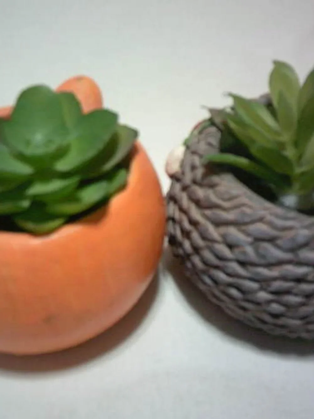 2 CUTE SUCCULENT POTTED PLANTS IN CERAMIC POTS ANIMAL ORANGE FOX DESIGN RARE 🌼